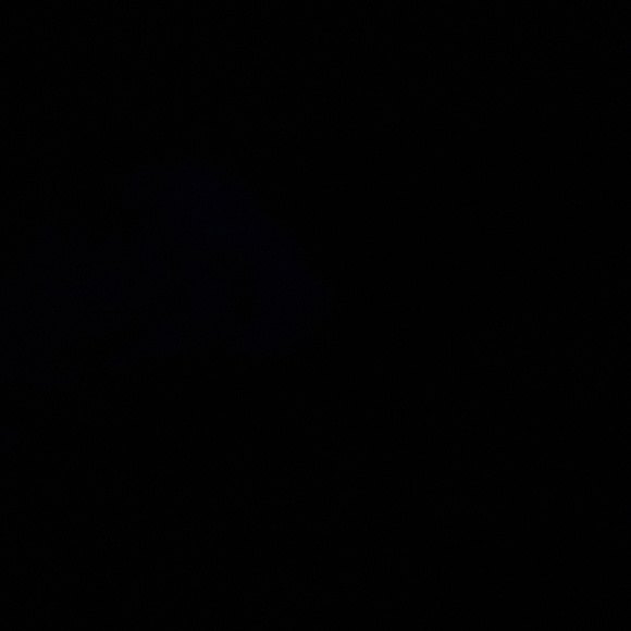 Meet your Posher, Alissia - Picture 1 of 1